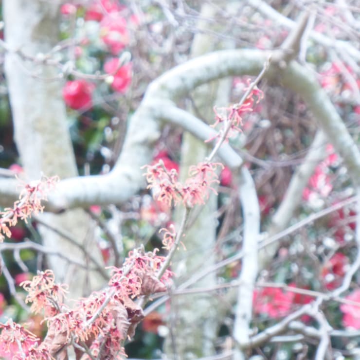 Kim Pieters, Untitled 2A, 2021