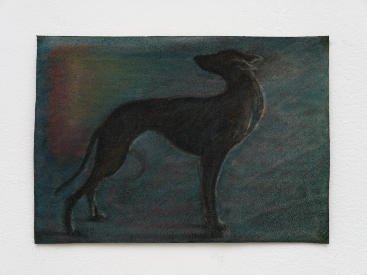 Zearo, a hundredth of a century, 2023