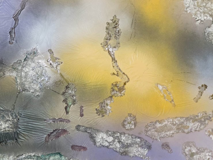 Samara Scott, Untitled