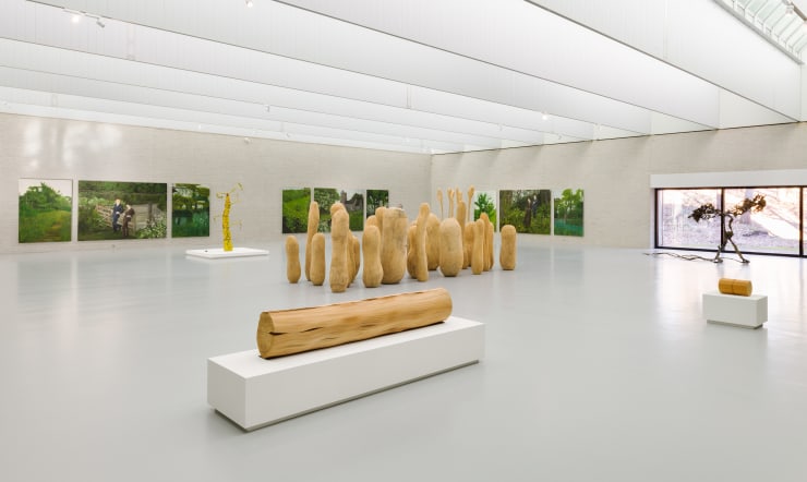 Nicholas Pope, With us in the nature,’ Kröller-Müller Musuem, Netherlands, 2019