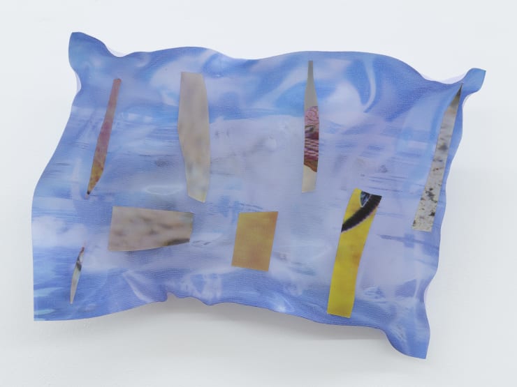 Samara Scott, Untitled, 2016