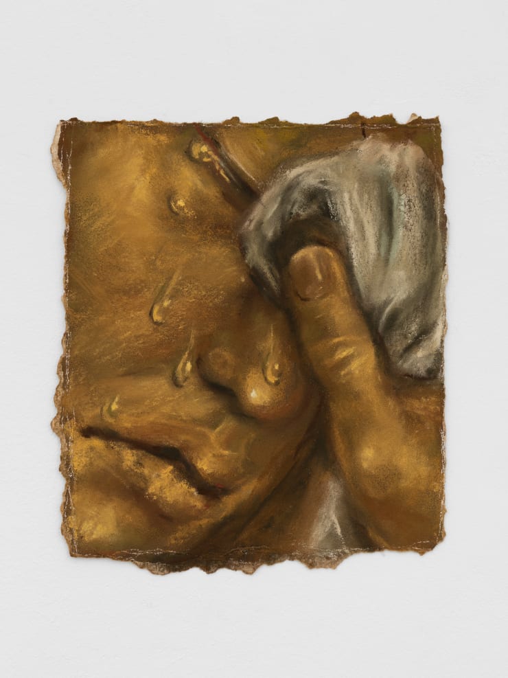 Sophie Ruigrok, Scutwork, 2021