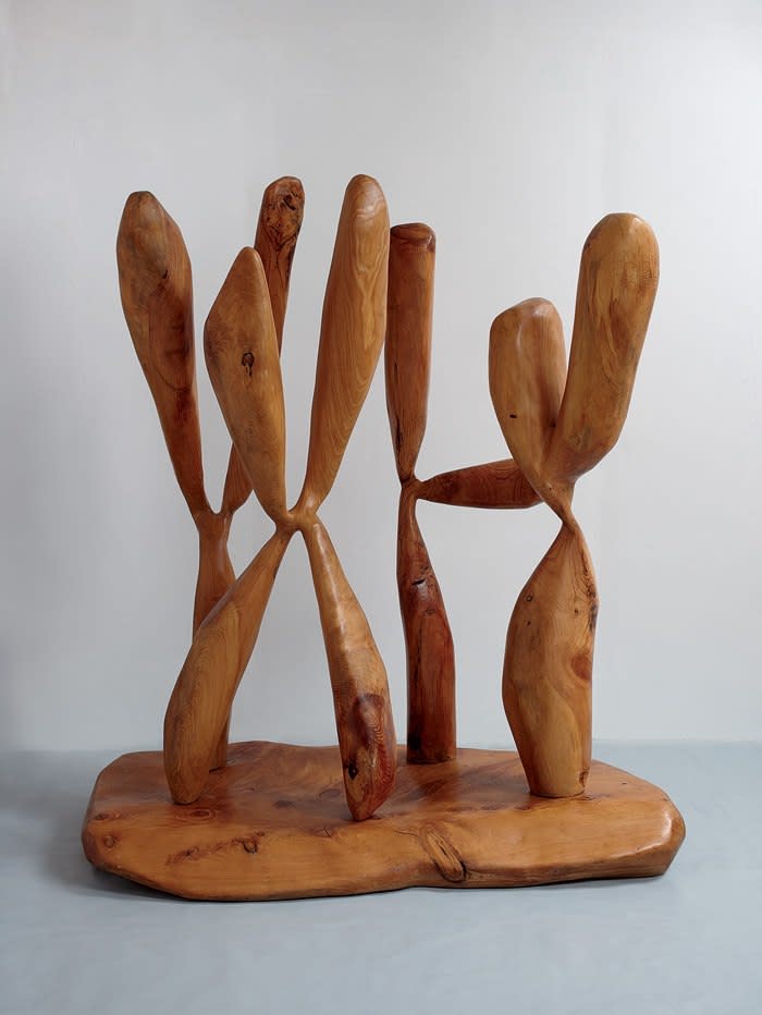 Nicholas Pope, Yoo Hoo Too, 1981