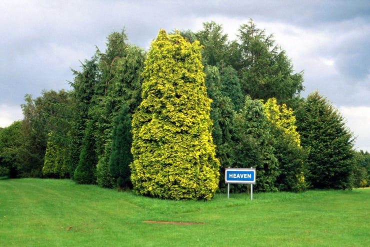 Leo Fitzmaurice, Heaven, 2004