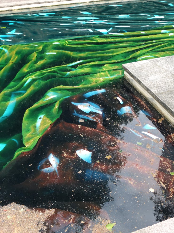 Samara Scott, Developer (detail), 2016