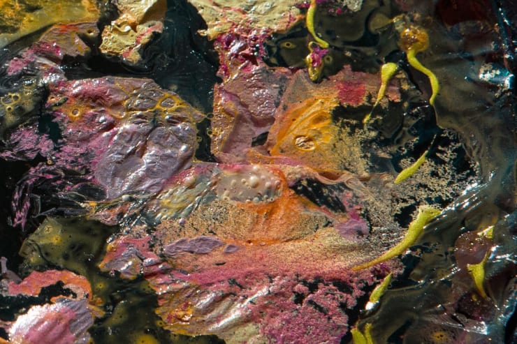 Samara Scott, More Warm (detail), 2014