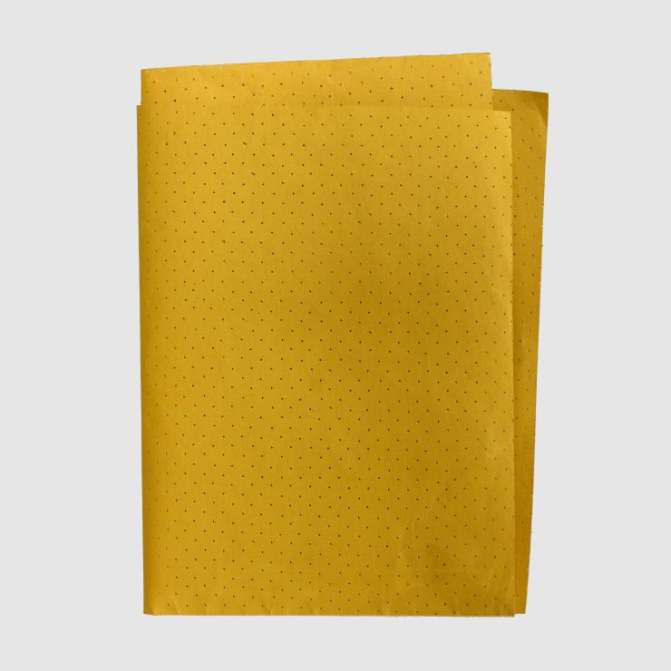 Leo Fitzmaurice, Chamois, 2021