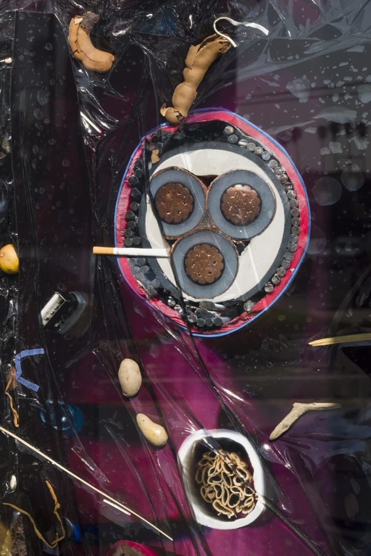 Samara Scott, Jacobs Creek, 2016