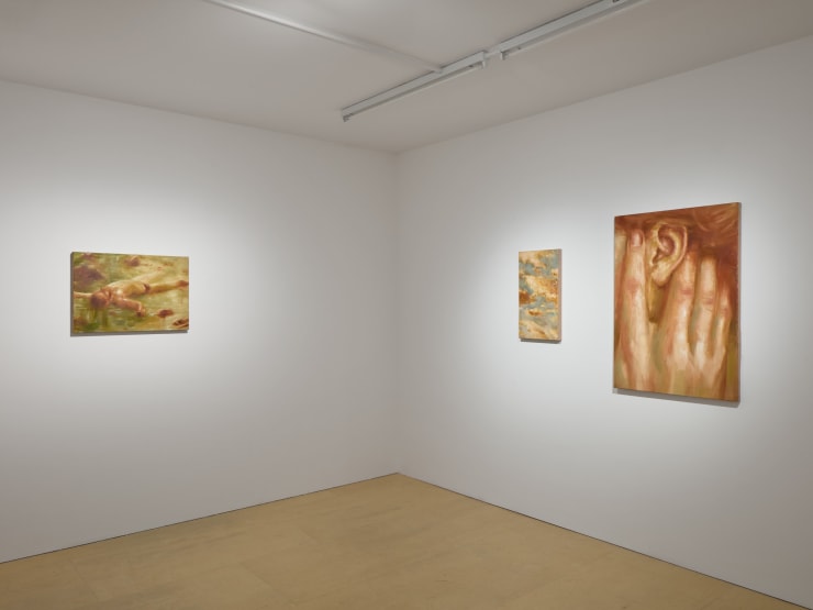 Sophie Ruigrok, Rapid movement over a landscape, 2024