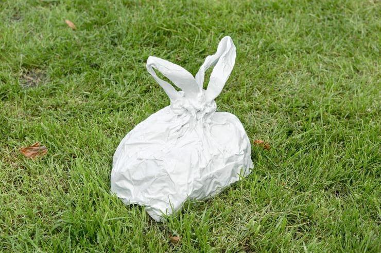 Leo Fitzmaurice, Litter I, 2015