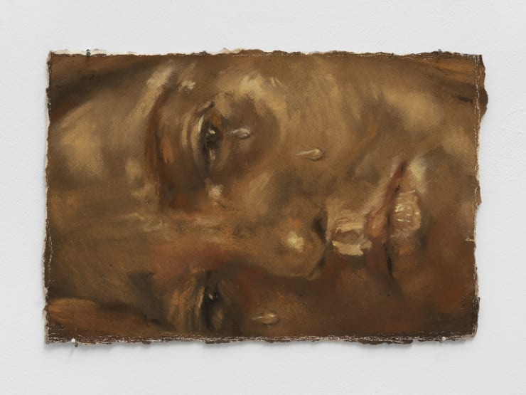 Sophie Ruigrok, Working on my internal landscape, 2021