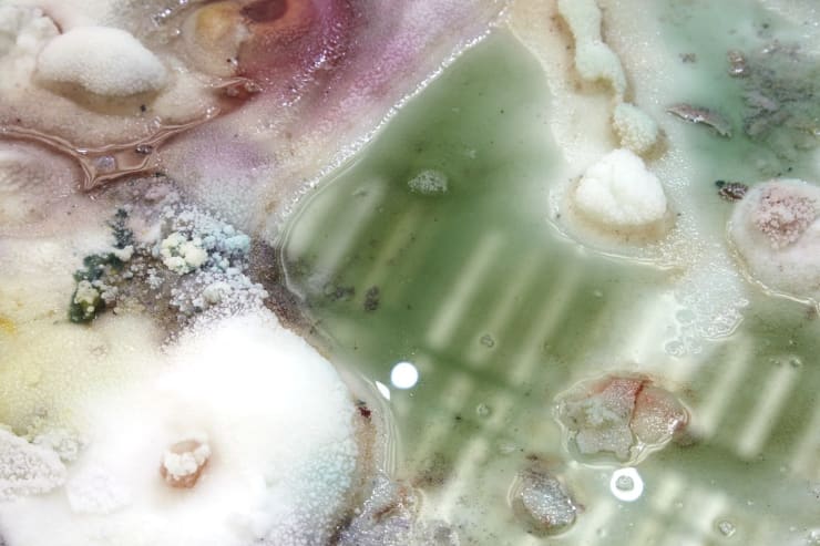 Samara Scott, Silks (detail), 2015