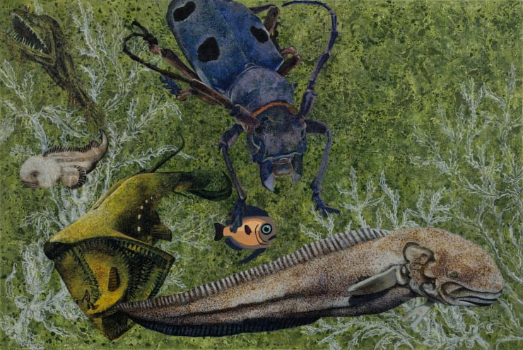 Wanderers of the Abyssal Darkness．The Propitious Anglerfish L1805