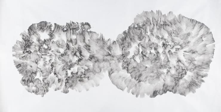 不生不死（一） No Birth No Death (1)