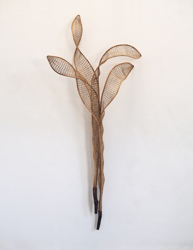 索菲普 ‧ 皮奇 Sopheap Pich, 洋紫荊 2 Bauhinia Purpurea 2, 2024