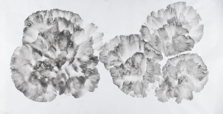 不生不死（二） No Birth No Death (2)