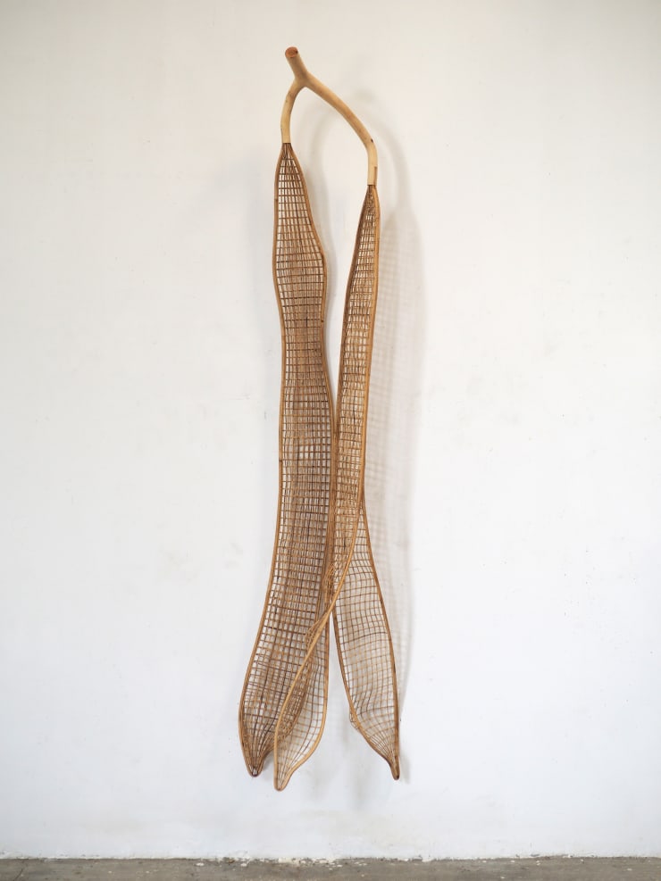 索菲普 ‧ 皮奇 Sopheap Pich, 洋紫荊 4 Bauhinia Purpurea 4, 2024