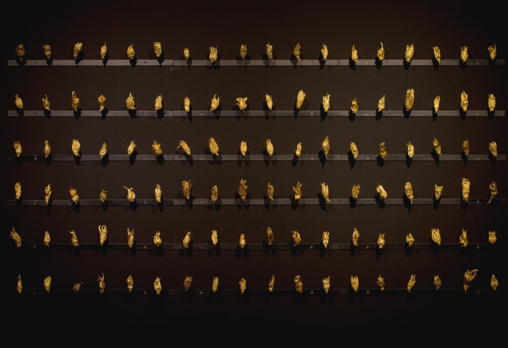 器世間 Material World