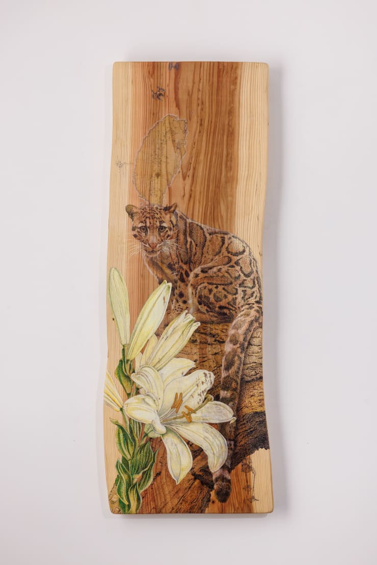 花落春未盡．雲豹與百合M2203 The Lasting Spring, Clouded Leopard and Lily M2203