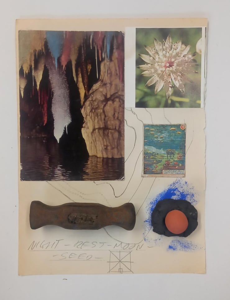 Leo Robinson, Night-Rest-Moon-Seed, 2023
