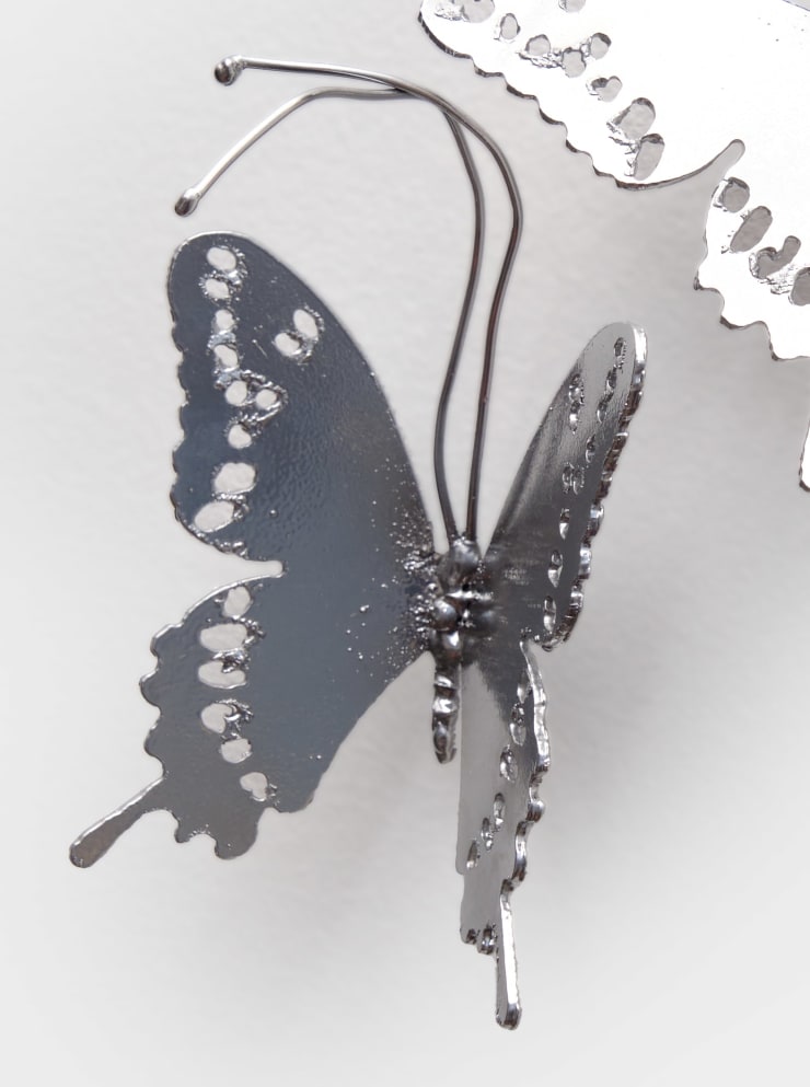 Abigail Lucien, papilio aristor X, 2023