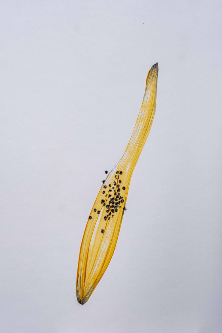 Temitayo Ogunbiyi, You will stumble while uncovering your preferences in intimacy, 2022