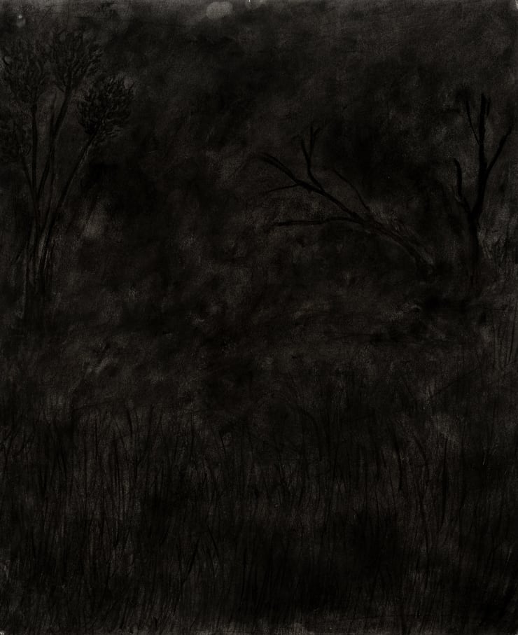 Felix Shumba, Nocturnal Landscape #13, 2024