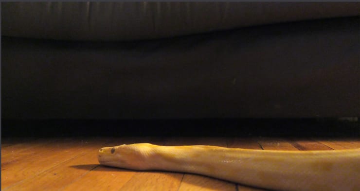 Keren Cytter, Žudanti laiko mašina / Killing Time Machine, 2018