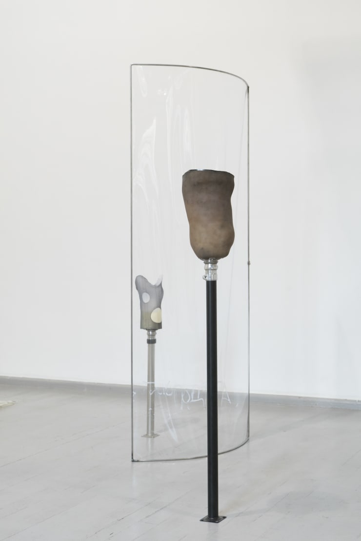 Anastasija Sosunova & Andrea Zucchini, Slenka ir gyja / Creeping and Healing, 2018