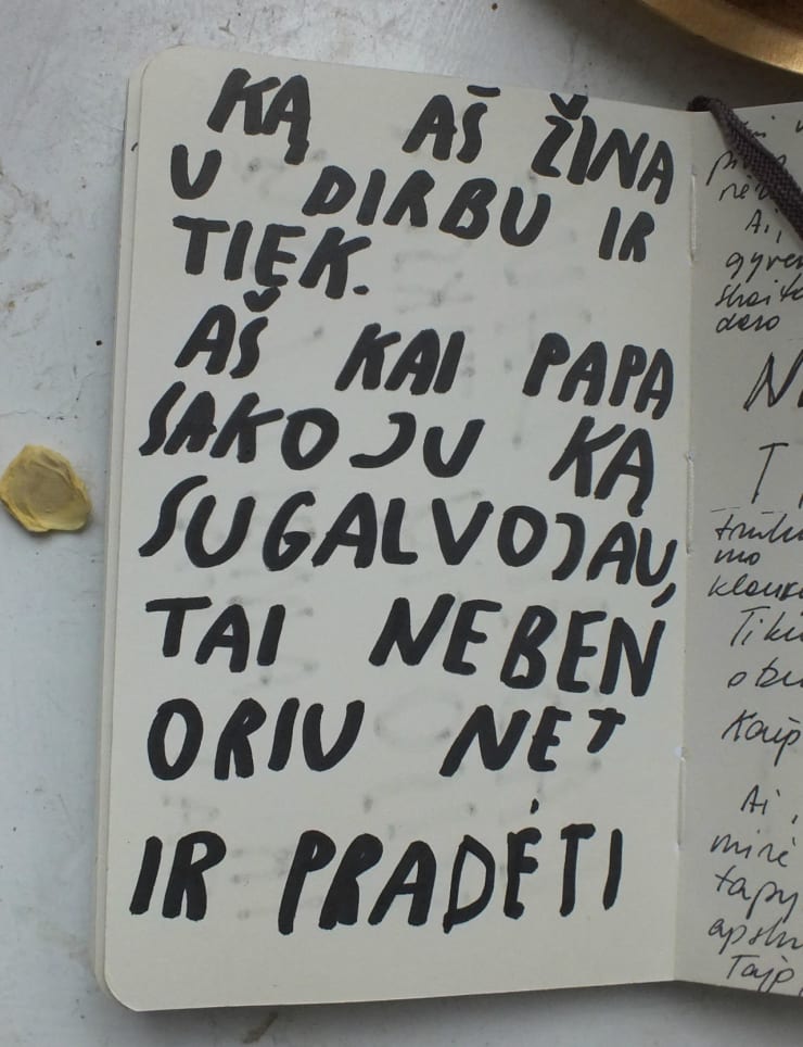 Ieva Rojūtė, Ne kritikai, o prisiminimui / Not for critics, but for remembrance, 2014