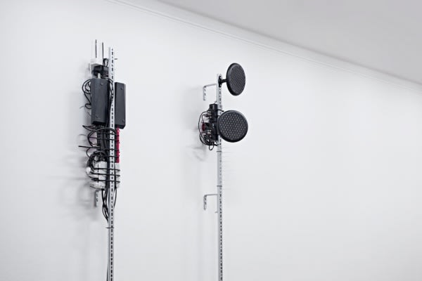 Ignas Krunglevičius, Condition of possibility: Bicameral mind, 2015