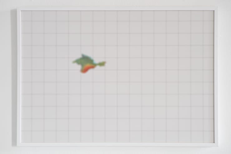 Mykola Ridnyi, Gradual Loss of Vision, 2017