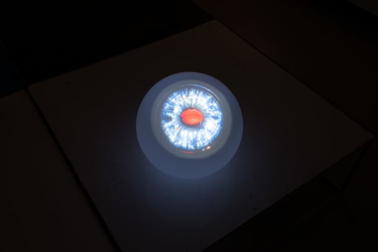 Jurga Barilaitė, Dainuojanti akis / Singing Eye, 2017