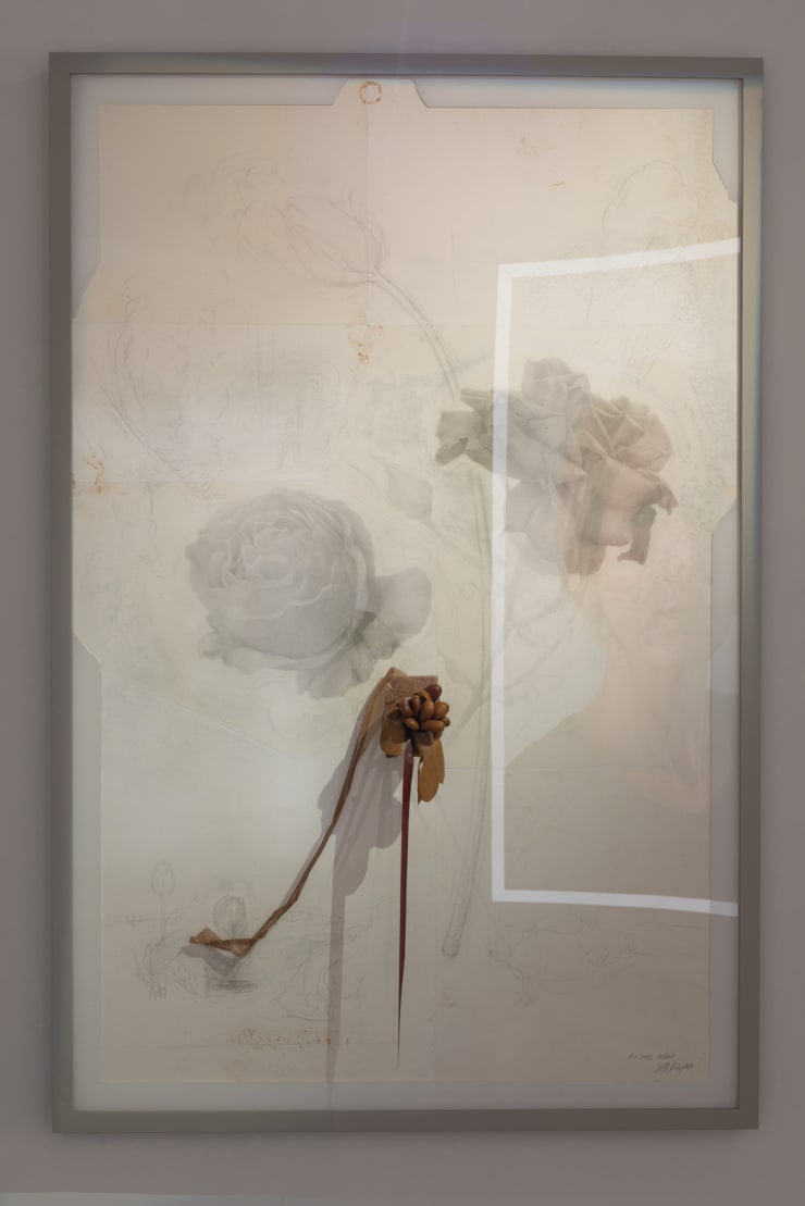 SetP Stanikas, Rožės kvepia / The roses scent, 2017