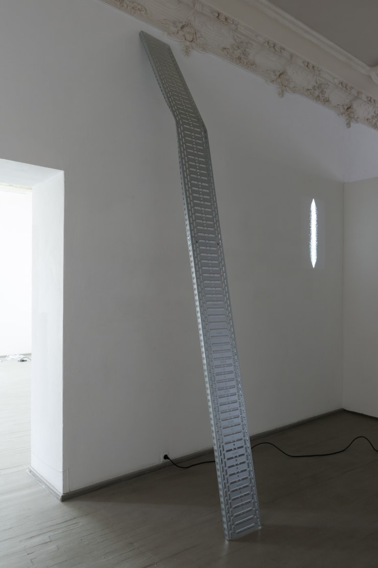 Ignas Krunglevičius, Vienos krypties RNR / Single strand RNA, 2015