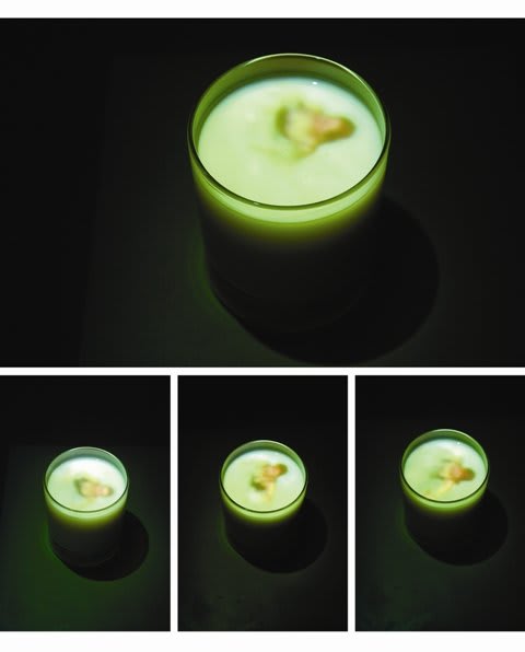 Jurga Barilaitė, Audra stiklinėje / Storm in a tea cup, 2003