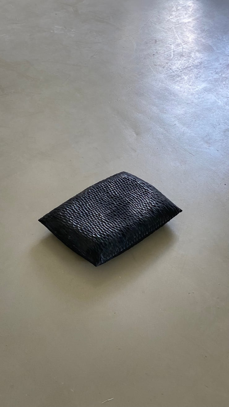 Mantas Lesauskas, Pillow Knygų platforma / Book platform, 2022