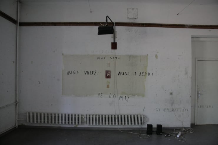 Ieva Rojūtė, VAIKELI, TU PRAŽŪSI / MY DEAR CHILD, YOU’RE NOT GOING TO SURVIVE, 2012 - 2013