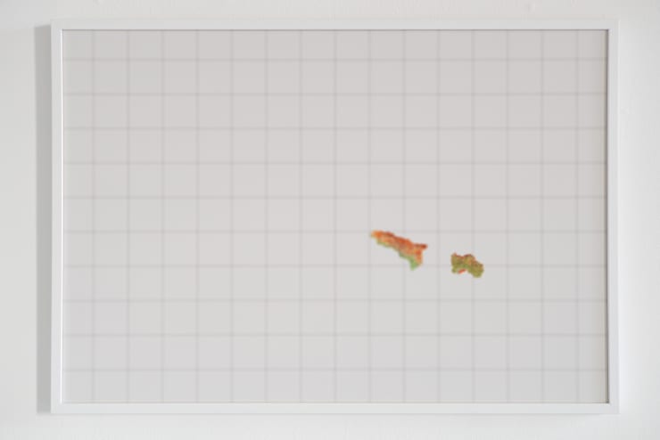 Mykola Ridnyi, Gradual Loss of Vision, 2017