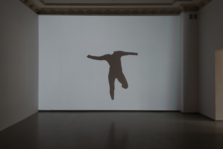 Jurga Barilaitė, Šokantis triko / A Dancing Unitard, 2017