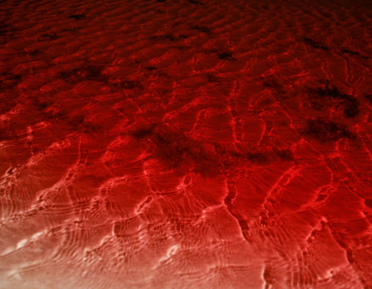 Geistė Marija Kinčinaitytė, Untitled (Red Pool), 2019 - 2020