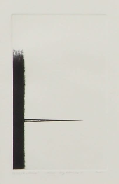 Laura Grybkauskaitė, Būsena / Condition, 2010