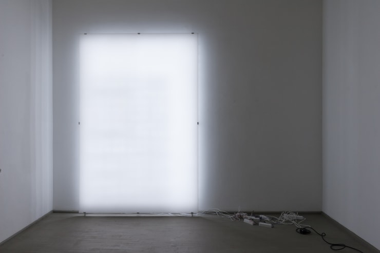 Ignas Krunglevičius, LCD stuburas / LCD spine, 2015