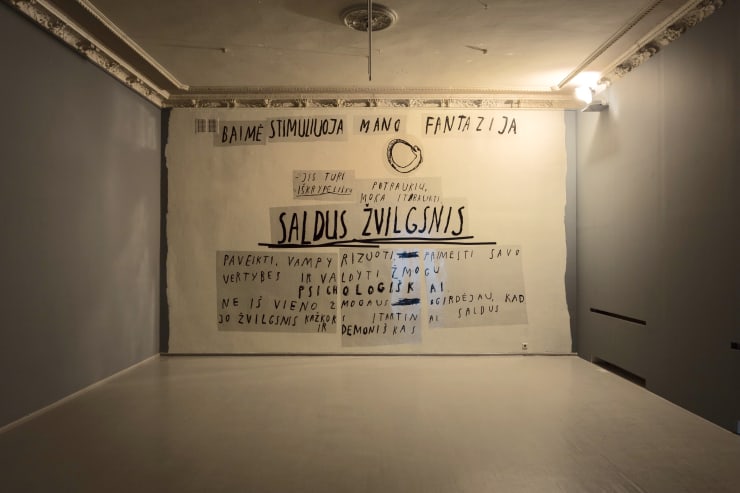 Ieva Rojūtė, Saldus žvilgsnis / A Sweet Glance, 2017