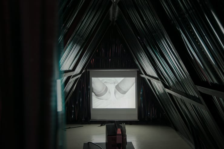 Jurga Barilaitė, Pašiūrė "Senai P" / A Lean-To the Old C, 2017