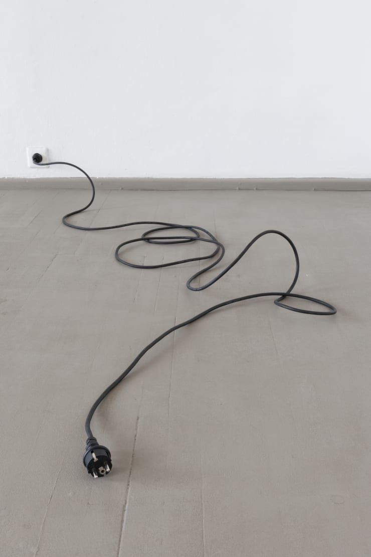 Ignas Krunglevičius, Nulis aido / Zero echo, 2015