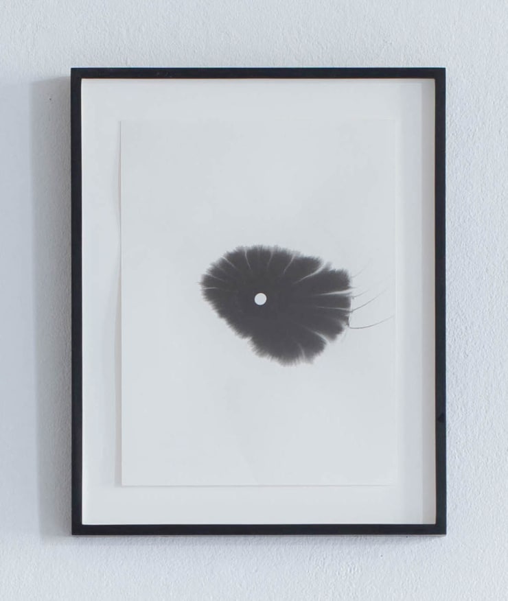 Žilvinas Kempinas Fan Drawing 20101126-2, 2010 Archival ink on paper 38.7 x 31.1 cm 15 x 12 in