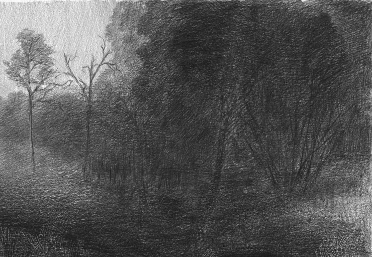 Mindaugas Lukošaitis, Rezistencija 2 (100 dalių serija) / Resistance 2 (series of 100 parts), 2019