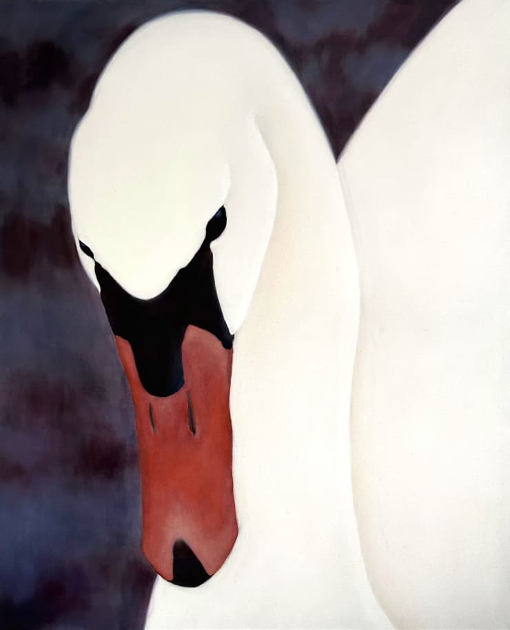 Liucija Pačkauskaitė, Gulbė Nebylė / Mute Swan, 2024
