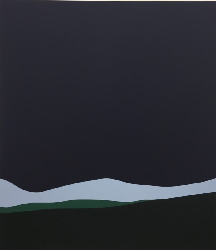 Adelė Pukelytė, Two Greens and Two Blues, 2020